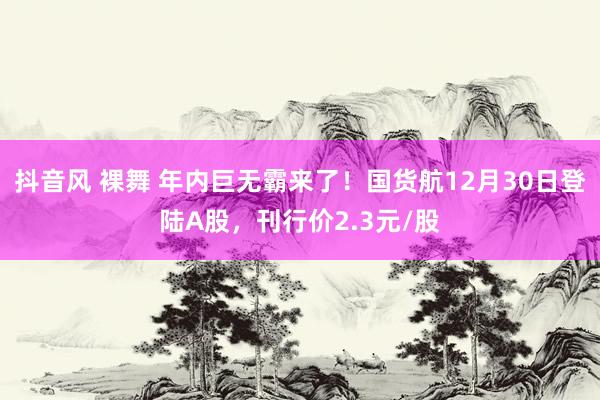 抖音风 裸舞 年内巨无霸来了！国货航12月30日登陆A股，刊行价2.3元/股