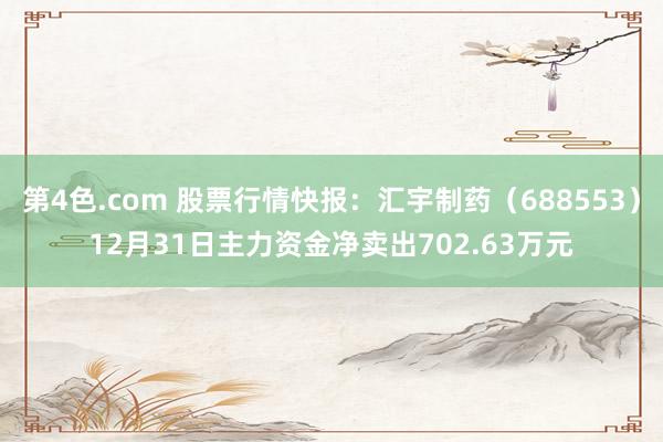 第4色.com 股票行情快报：汇宇制药（688553）12月31日主力资金净卖出702.63万元