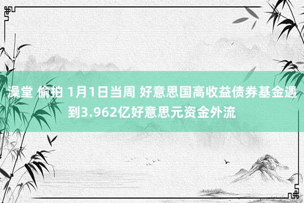 澡堂 偷拍 1月1日当周 好意思国高收益债券基金遇到3.962亿好意思元资金外流