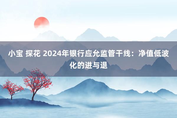 小宝 探花 2024年银行应允监管干线：净值低波化的进与退