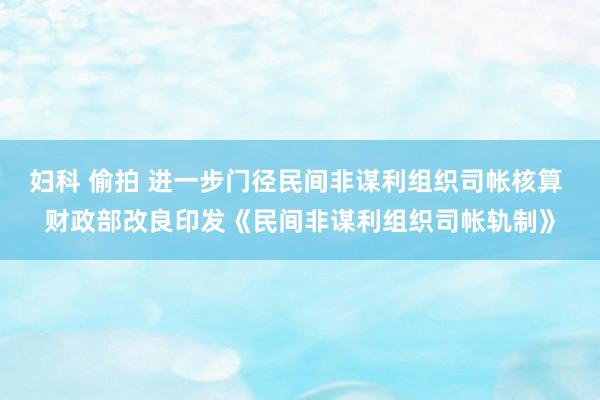 妇科 偷拍 进一步门径民间非谋利组织司帐核算 财政部改良印发《民间非谋利组织司帐轨制》