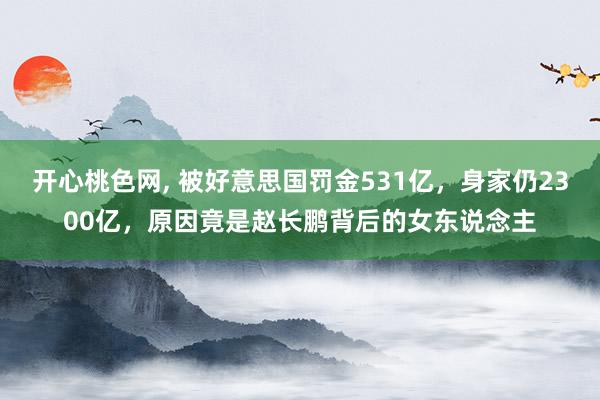 开心桃色网, 被好意思国罚金531亿，身家仍2300亿，原因竟是赵长鹏背后的女东说念主