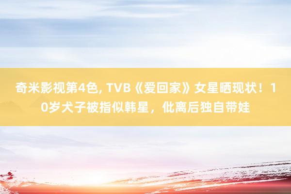 奇米影视第4色, TVB《爱回家》女星晒现状！10岁犬子被指似韩星，仳离后独自带娃