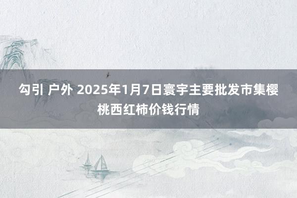 勾引 户外 2025年1月7日寰宇主要批发市集樱桃西红柿价钱行情