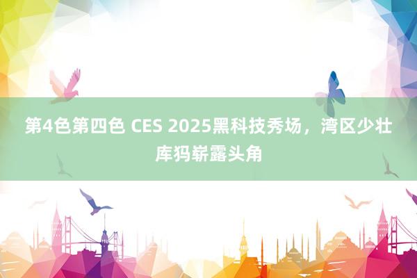 第4色第四色 CES 2025黑科技秀场，湾区少壮库犸崭露头角