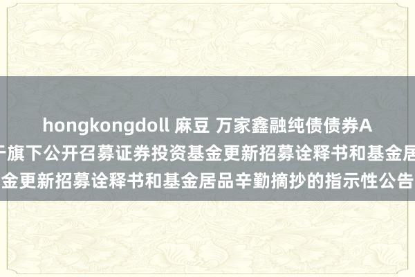 hongkongdoll 麻豆 万家鑫融纯债债券A，万家鑫融纯债债券C: 对于旗下公开召募证券投资基金更新招募诠释书和基金居品辛勤摘抄的指示性公告