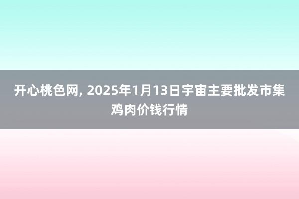 开心桃色网, 2025年1月13日宇宙主要批发市集鸡肉价钱行情