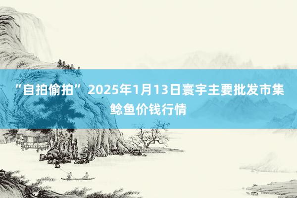 “自拍偷拍” 2025年1月13日寰宇主要批发市集鲶鱼价钱行情