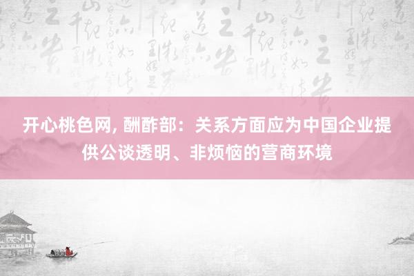 开心桃色网, 酬酢部：关系方面应为中国企业提供公谈透明、非烦恼的营商环境