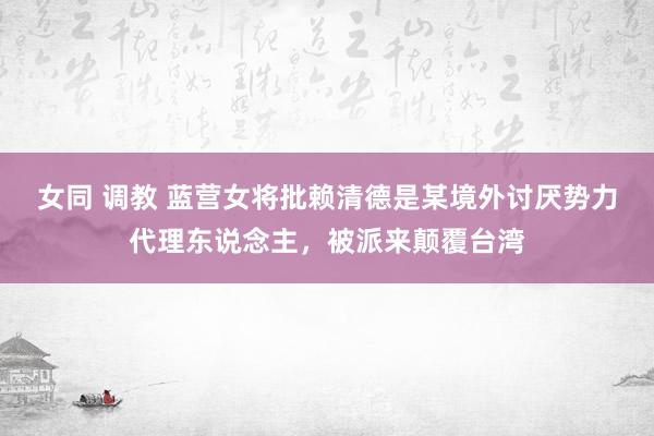 女同 调教 蓝营女将批赖清德是某境外讨厌势力代理东说念主，被派来颠覆台湾